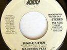 rare Soul Disco 45 MANFREDO FEST jungle kitten Listen
