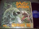 Savoy Brown  
