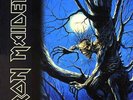 Iron Maiden Fear of the Dark - Rare LP