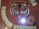 BETA BAND - CHAMPION VERSIONS - STILL SEALED**