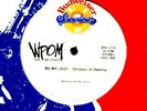 CHILDREN OF DESTINY 12'  BUDWEISER BOOGIE FUNK