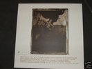 The Pixies Surfer Rosa vinyl LP