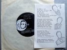 VULTURES 79 RARE UK PRIVATE PRESS PUNK MOD POWERPOP ??