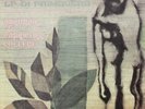 CAPRICORN COLLEGE Barimar LP di prim. ITALY prog psych