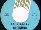 Garage Freakbeat 45 - JUVENILES - Bo Diddley