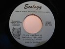 Funk 45 SINS OF SATAN Natural Feelings ECOLOGY HEAR