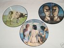 3 Pink Floyd Picture Discs RARE BEAUTIES Division Bell