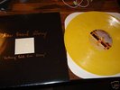 NEW FOUND GLORY NOTHING GOLD CAN STAY GOLD #117 RARE XX