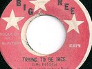 DAVID Mc INTOSH / TRYING TO BE NICE / LISTEN
