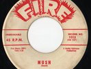 Little Bobby Roach - Fire Instrumental