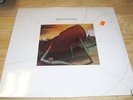 * SEALED MINT * Vintage LP STING The Soul Cages