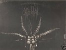 Urgehal - Goatcraft Torment LP