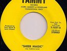Rare Sweet Soul 45: ICE-COLD-LOVE on Tammy (Hear)