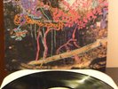 ANIMAL COLLECTIVE HERE COMES THE INDIAN ORIG VINYL LP