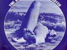 A FOOT IN COLDWATER: The Second Foot In Coldwater, RARE