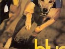 BLUR PARKLIFE ORIGINAL FOOD NM CONDITION