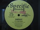 FANTASY It's Your Rock ELECTRO/SYNTH/BOOGIE/RAP 12