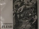 Void - Condensed Flesh 7