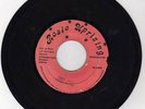 PETER METRO - THE DON - ROSIE UPRISING [SLENG TENG] 7