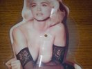 MADONNA INTERVIEW PICTURE PIC DISC RARE CELEBRATION