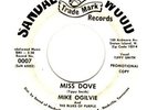 Garage sounds MIKE OGILVIE 