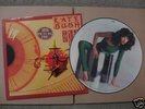 KATE BUSH KICK INSIDE 2-SIDED PICTURE DISC RECORD NEW
