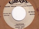 KILLER BLUES 45 COUSIN LEROY GOIN' BACK HOME/CATFISH DJ