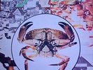 I-Roy Cancer. Brilliant Reggae/ Dub 1979 UK VIRGIN LP