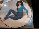 Kate Bush Kick Inside RARE Picture Disc Mint Disc