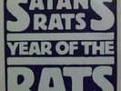 SATANS RATS/YEAR OF THE RATS DJM PUNK 45 1978 NEAR MINT