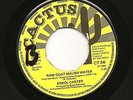 ERROL CARTER-RAM GOAT MALISH WATER/RENKIN DUB CACTUS 7