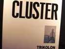Trikolon – Cluster / rare Amber Soundroom Repro / Top