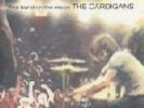 THE CARDIGANS FIRST BAND ON THE MOON VINYL LP
