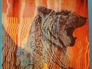 AMON DUUL II Wolf City German LP Prog Psych Krautrock