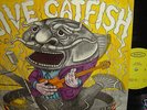Catfish                       - Live Catfish -     MINT