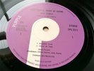 DEEP PURPLE 