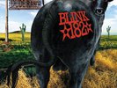 blink-182 Dude Ranch Clear Brown Vinyl LP RARE OOP /500