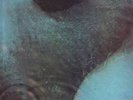 PINK FLOYD-Australian-1971-Meddle-LP