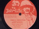 Wayne Marshall Vibes & Tribulation UK 12