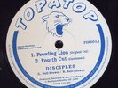 Disciples Prowling Lion UK 10