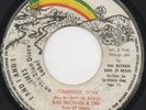 RAS MICHAEL & THE SONS OF NEGUS NUMBERED DAYS  LISTEN