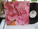 STILL LIFE SAME LP IN 1970 MINT RARE VERTIGO SWIRL