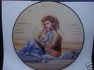 Rare  Madonna Picture Disc Vinyl LP - virgin material