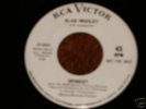 Elvis Presley 1966 Promo Spinout/All That I Am   NM