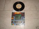 iron maiden WASTED YEARS maden italy