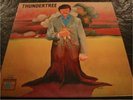 Thundertree S/T RARE ORIG PSYCH ROCK LP - MINT