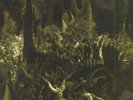 EMPEROR ---antems to the welkin at dusk-- LP - first pr