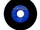 45 DOO WOP THE WRENS (ELEVEN ROSES) RAMA - 110