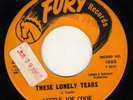 NORTHERN on FURY-1060---LITTLE JOE COOK---HEAR BOTH