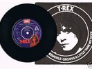 BOLAN & T.REX Dandy In The Underworld DEMO 1977 single
